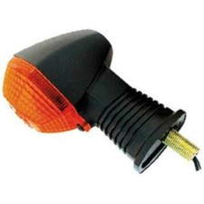 Blinker hinten rechts für