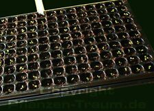 Pikierplatte QuickPot 150 Töpfe Mehrweg professionelle Aussaat Anzucht Multitopf