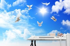 3D Blau Himmel Taube Q4059