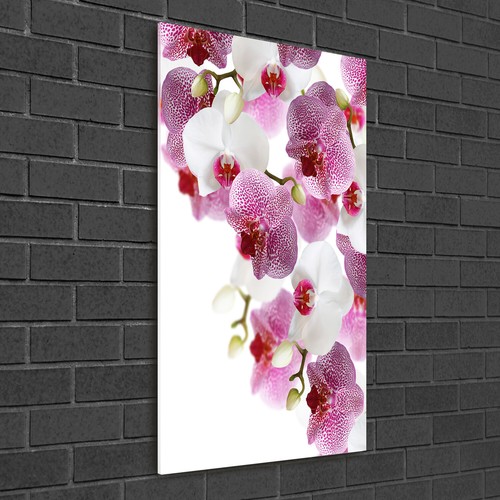 Wandbild druck auf plexiglas - wandbild,