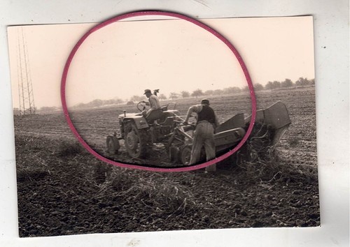 Photo foto taktor schlepper - ,