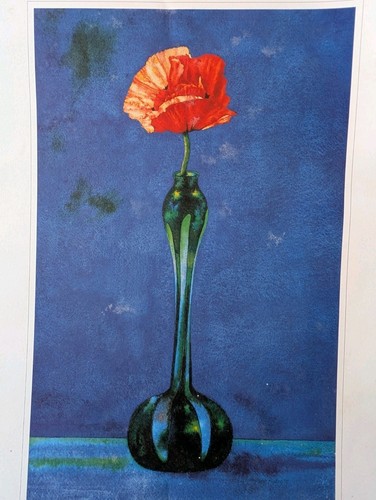 Orientalischer mohnblumen in - orientalischer,