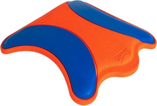 Ultra flying squirrel - ultra, hunde