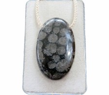 Schwarze Koralle versteinert