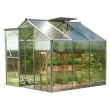 Gewächshaus Treibhaus 6 mm