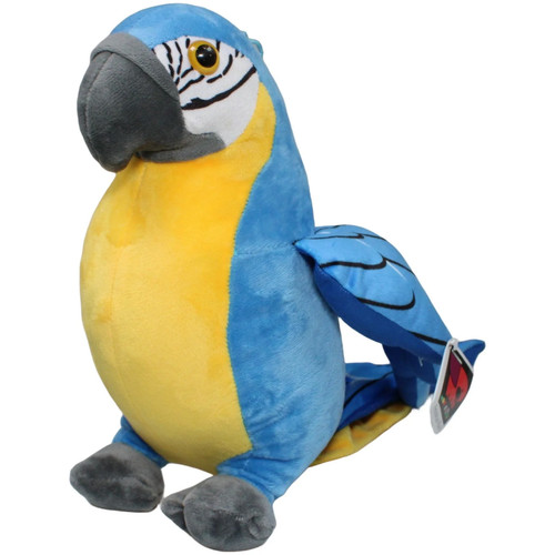 Morgenroth vogel papagei - vogel,