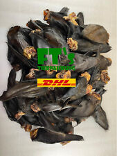 10-100 XXL Rinderohren mit Muschel und Fell, FT's Tiernahrung,Leckerlie,Kausnack