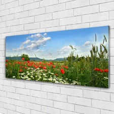 Glasbilder wandbild druck - glasbilder,