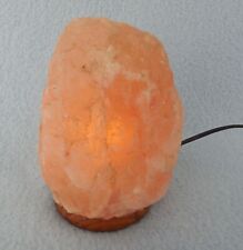 Salzstein - Tischleuchte für Netzbetrieb  mit Holzsockel