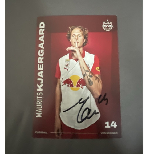Maurits kjaergaard red - red, bull