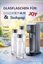 NEU Glaskaraffe Glasflasche