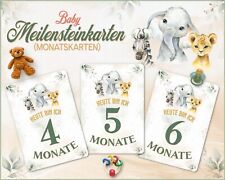 Baby Meilensteinkarten |
