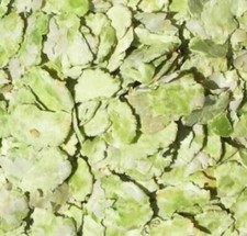 Erbsenflocken 5 kg für