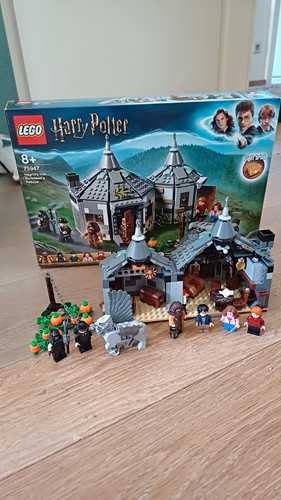 Lego harry potter 75947 - harry,