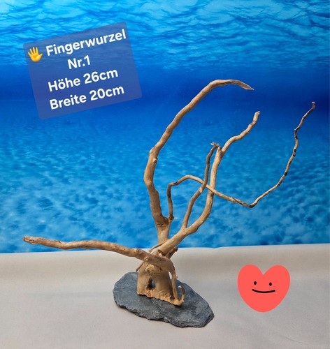 Fingerwurzel aquarium - 🌳fingerwurzel,