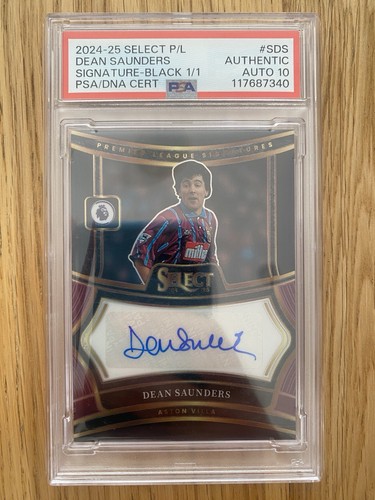 2024 panini select auto - panini,