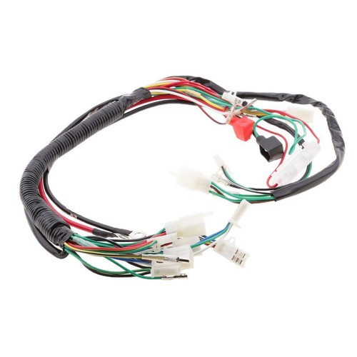 Kabelbaum für 110cc - kabelbaum,