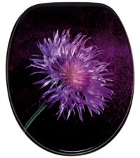 WC SITZ TOILETTENDECKEL