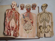 Das neue Naturheilverfahren