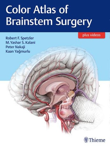 Color atlas brainstem - atlas, of