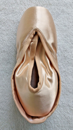 Grishko spitzenschuhe - grishko,