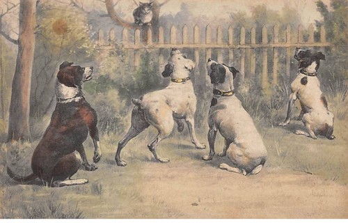 Hunde 82090 m wien - hunde,