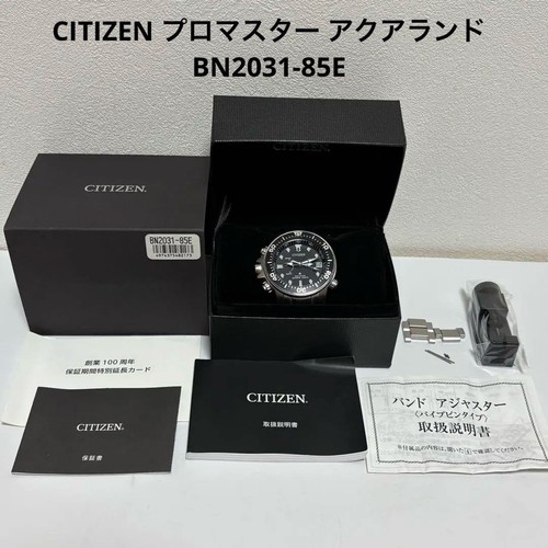 Citizen bn2031 85e promaster - citizen,