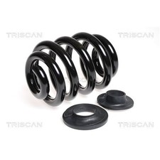 Triscan Feder hinten für VW