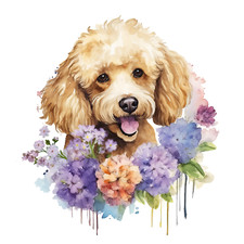 XXL Poodle Car Sticker Dogs