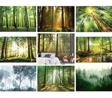 Big wald bäume wandbild - wald,