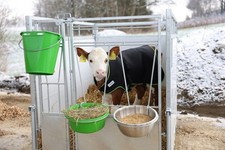 Kälberdecke Regendecke Thermodecke Wärmedecke für Kälber Aufzuchtsdecke