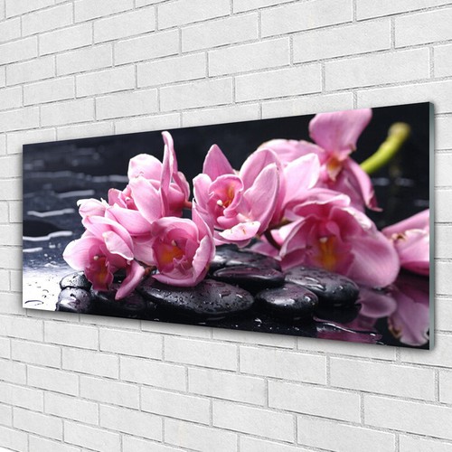 Acrylglasbilder wandbilder - acrylglasbilder,