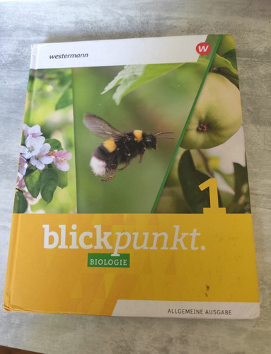 Westermann blickpunkt