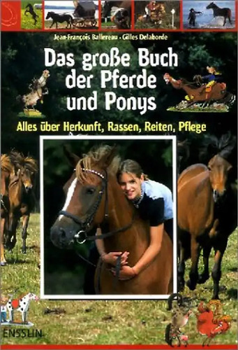 Das große buch der - große,