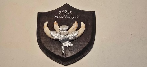 Keilerwaffen keilerzähne auf - keilerwaffen,