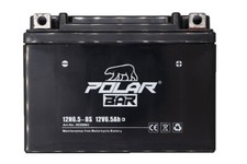 Polar Bär Blei Gel Akku