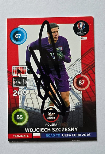 Wojciech szczesny polen - wojciech,