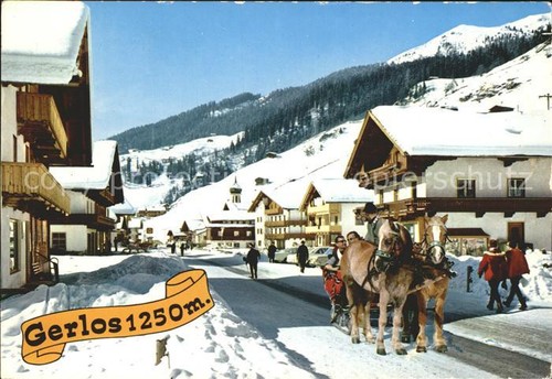 Gerlos pferdeschlitten hotel - pferdeschlitten,