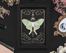 TAROT THE MOON Echte Actias luna Motte in Tarot Style Bilderrahmen Wanddeko, Got