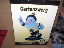 BVB Borussia Dortmund