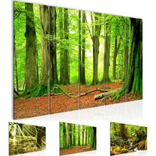 Wandbilder Set Wald Landschaft