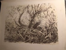 Druck, Lithographie, Limitierte Auflage Nr.54/56, Gerhard Schäufele 1982, 40x50