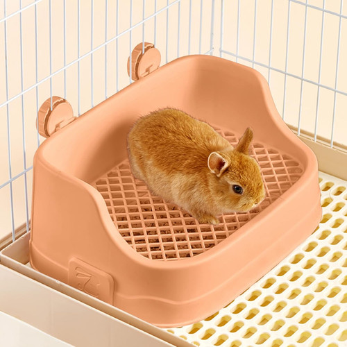Kaninchen katzentoilette ecke - kaninchen,