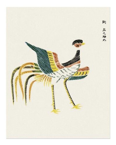 Bunte vogel wandkunst elegante - bunte, vogel-wandkunst