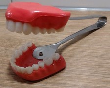 Zange Gebiss - Vintage -