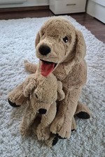 Ikea Golden Retriever und
