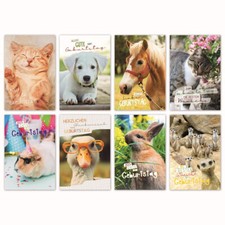 100 Geburtstagskarten