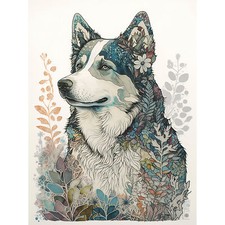 Sibirischer Husky Hund Natur