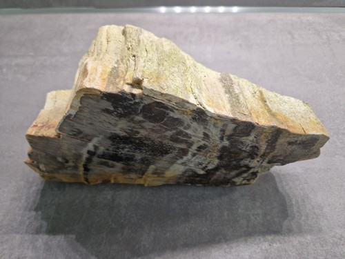 2kg versteinertes holz - 💥3,2kg!,