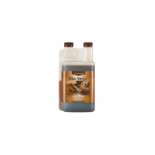 Canna bio vega wuchs - canna,